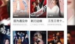 四大绯闻爆料视频播放下载,播放下载背后的真相与争议